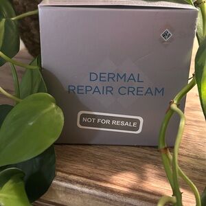 Skinmedica Dermal Repair Cream